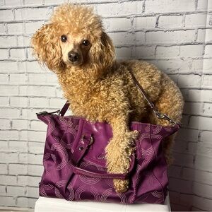 Coach Stylish Purple Crossbody Purse (modeled by Bambi)